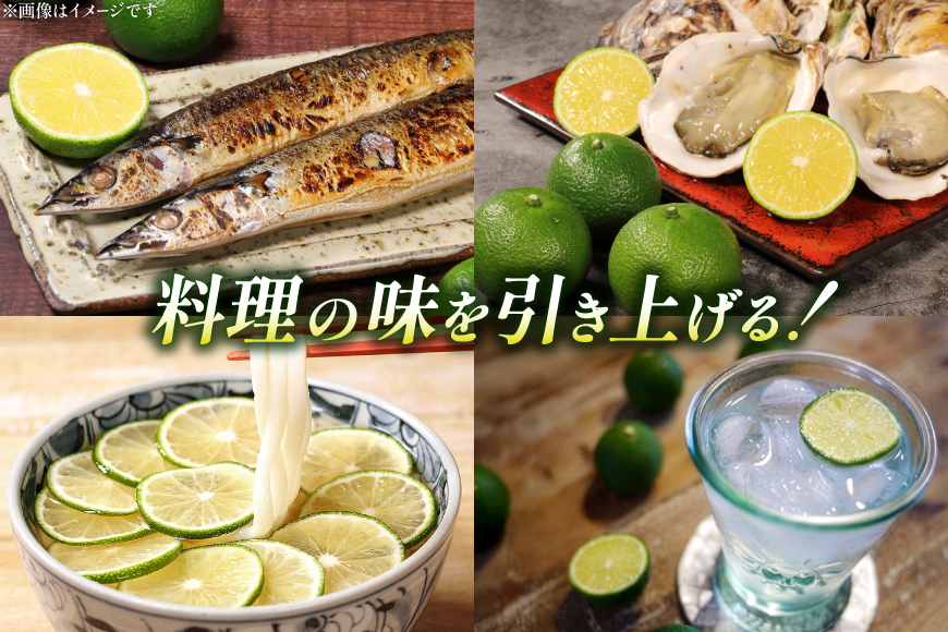 【期間限定発送】 訳あり 採れたてへべす 5kg [かくちゃん農園 宮崎県 日向市 452060673] 果物 柑橘 へべす 平兵衛酢 ヘベス 期間限定 数量限定 規格外 家庭用 果汁 香酸柑橘 調味料 宮崎 ビタミンC アミノ酸 国産 種が少ない