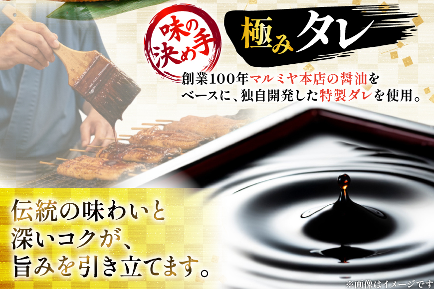 うなぎ 国産 日向極み うなぎ蒲焼 1尾 160g以上 [日向サンパーク 宮崎県 日向市 452061712] ギフト 小分け 真空パック 鰻 ウナギ うなぎの蒲焼 蒲焼 蒲焼き