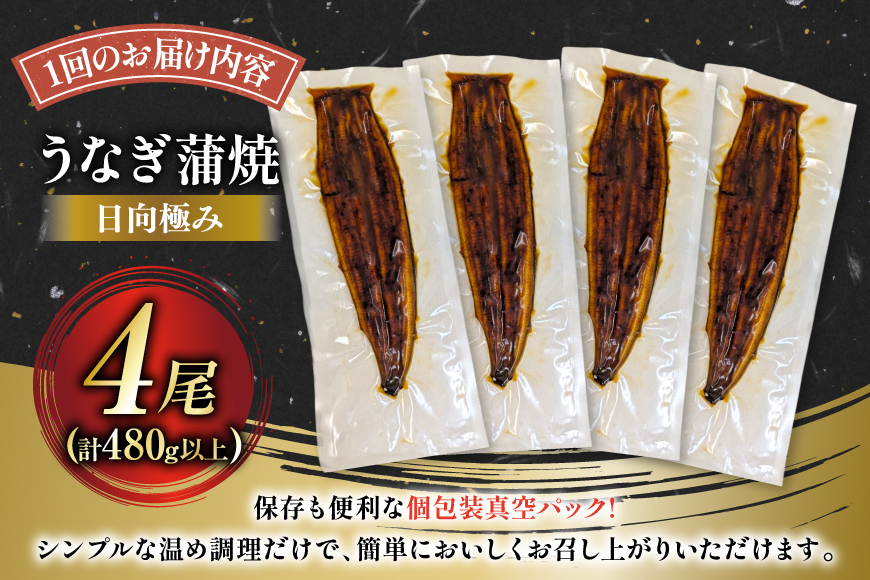 うなぎ 国産 【 丑の日 季節の定期便 】 日向極み うなぎ蒲焼 4尾 計480g [日向サンパーク 宮崎県 日向市 452061506] ギフト 小分け 真空パック 鰻 ウナギ うなぎの蒲焼 蒲焼 蒲焼き