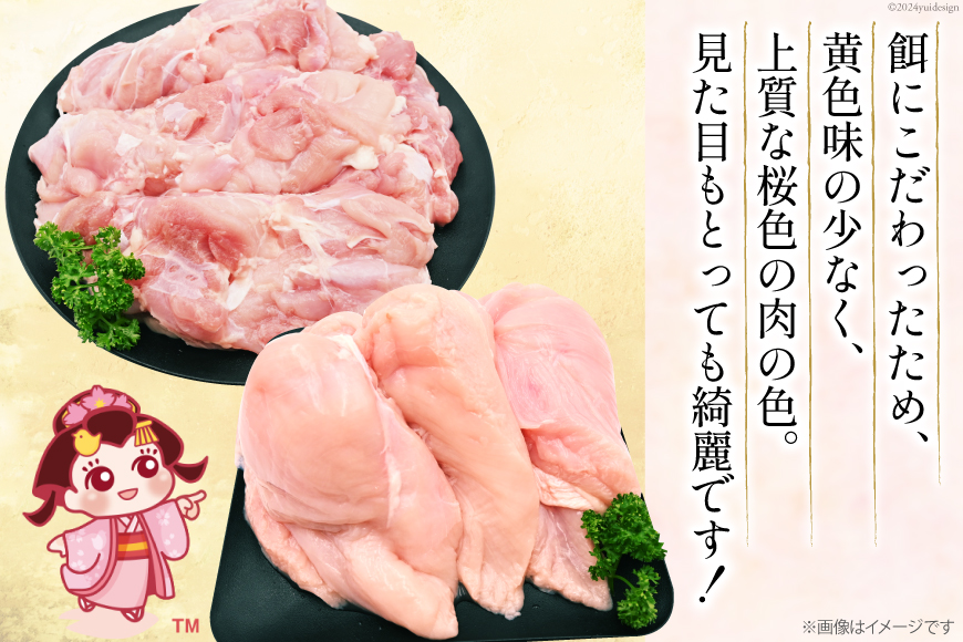 鶏肉 国産 桜姫（R） もも肉 2kg[日本ハムマーケティング 宮崎県 日向市 452060780] 冷凍 国産 もも 鶏もも肉 鶏モモ 鶏