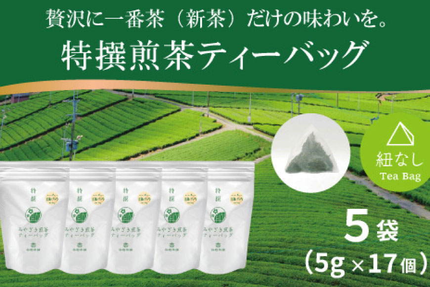 お茶 ティーバッグ 特撰 みやざき煎茶 5袋 セット [谷岩茶舗 宮崎県 日向市 452061643] ティーパック 茶 茶葉 緑茶 新茶 お茶の葉