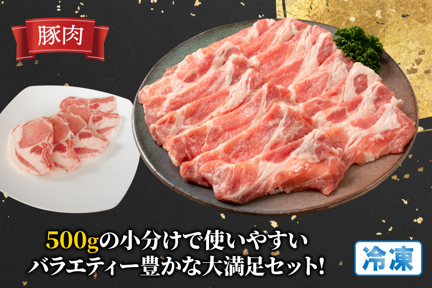 豚肉 鶏肉 宮崎県産 豚 鶏 3回 定期便 [南九フーズ 宮崎県 日向市 452061539] 切り落とし 小分け ロース とんかつ もも もも肉 鶏もも 鶏もも肉