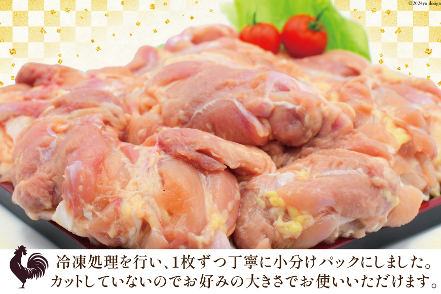 鶏肉 6回 定期便 宮崎県産 若鶏 もも 2kg [エム・ティ・シー 宮崎県 日向市 452061044] 小分け モモ もも肉 モモ肉 冷凍 肉 宮崎