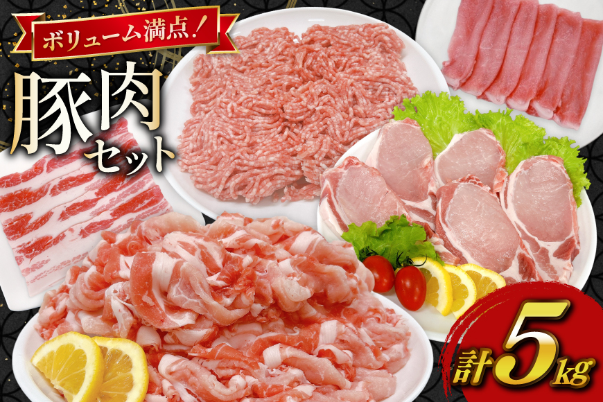 豚肉 宮崎県産豚肉 5kg 詰め合わせ セット [TRINITY 宮崎県 日向市 452061325] 小分け 豚 肉 宮崎 ロース スライス 豚バラ とんかつ 切り落とし ミンチ 豚ミンチ ひき肉 真空パック