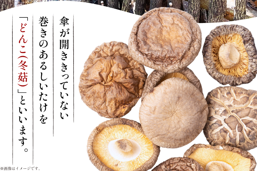 国産 特上 原木 乾燥 しいたけ 肉厚どんこ 170g [浜辺しいたけ 宮崎県 日向市 452061577] 椎茸 どんこ 乾燥しいたけ 乾燥椎茸