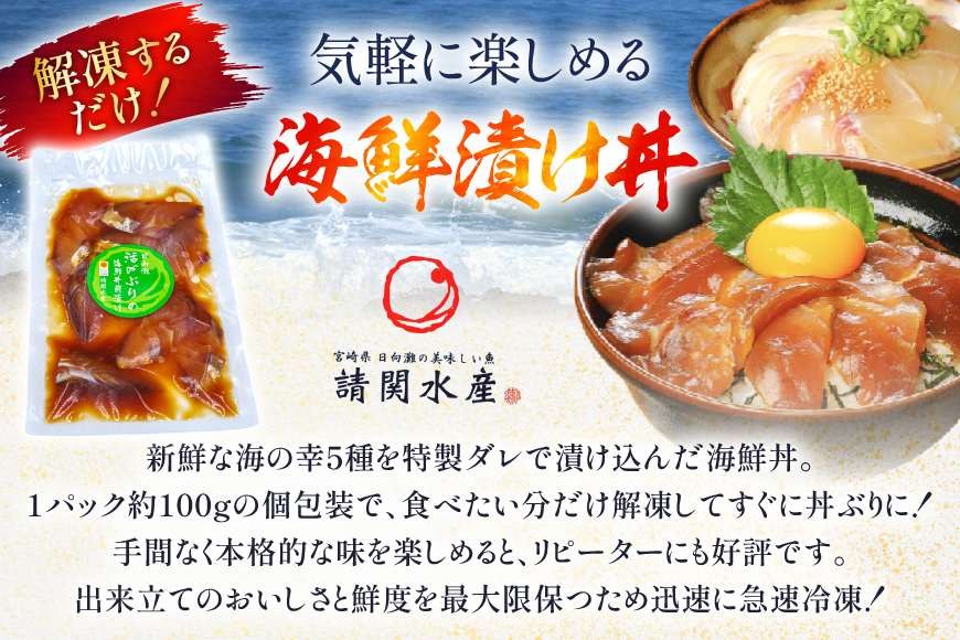 海鮮丼 海鮮漬け丼 5か月 定期便 [請関水産 宮崎県 日向市 452061452] 海鮮丼の具 海鮮 海鮮丼セット 食べ比べ 丼 冷凍 ギフト 漬け丼 ブリ 真鯛 マダイ カンパチ かんぱち まぐろ マグロ サーモン