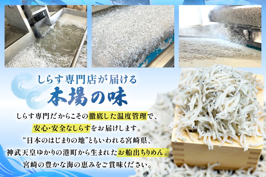 ちりめん 宮崎県産 無添加 ちりめんじゃこ 120g 3p 計360g [幸脇漁業生産組合 宮崎県 日向市 452061353] じゃこ 国産 しらす干し 小分け ジャコ 保存料不使用