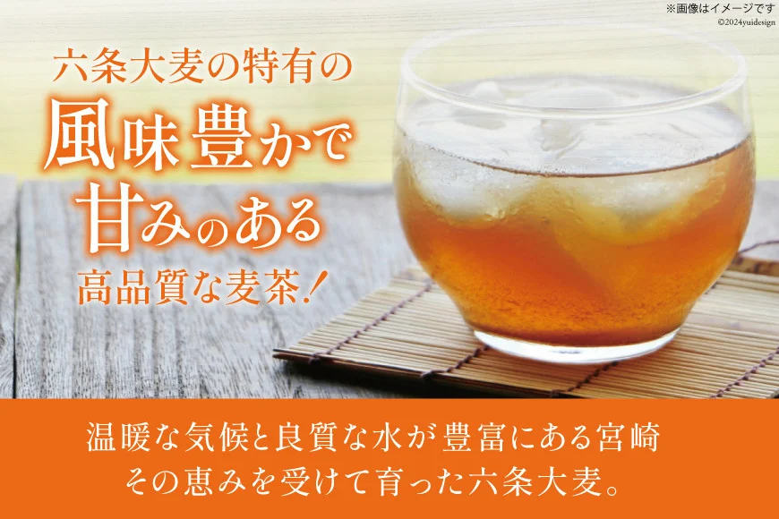 お茶 六条麦茶 （10g × 20包入）×５袋 [日向百生会 宮崎県 日向市 452060516] 麦茶 むぎ茶 水出し 煮出し ティーバッグ 国産 ノンカフェイン