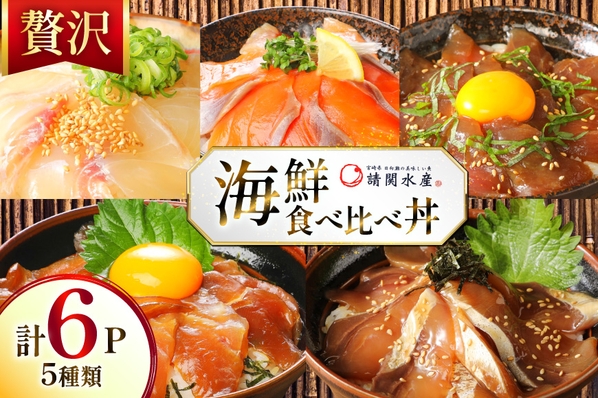 海鮮丼 漬丼 全5種 6食 セット [請関水産 宮崎県 日向市 452061674] ブリ マダイ マグロ サーモン カツオ 海鮮丼の具 海鮮丼セット 食べ比べ 冷凍 漬け丼 簡単 個包装 時短 お茶碗盛り