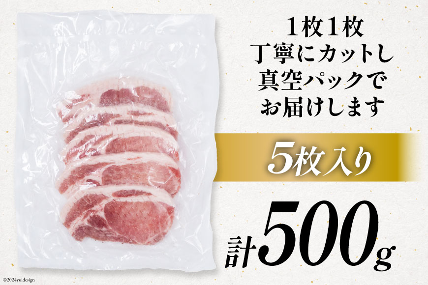 豚肉 小分け 宮崎ブランドポーク ロース トンテキ とんかつ カット 100g ×5枚 500g [ウィズ・クリエイティブ 宮崎県 日向市 452060770] 冷凍 豚 個包装 トンカツ 真空 宮崎