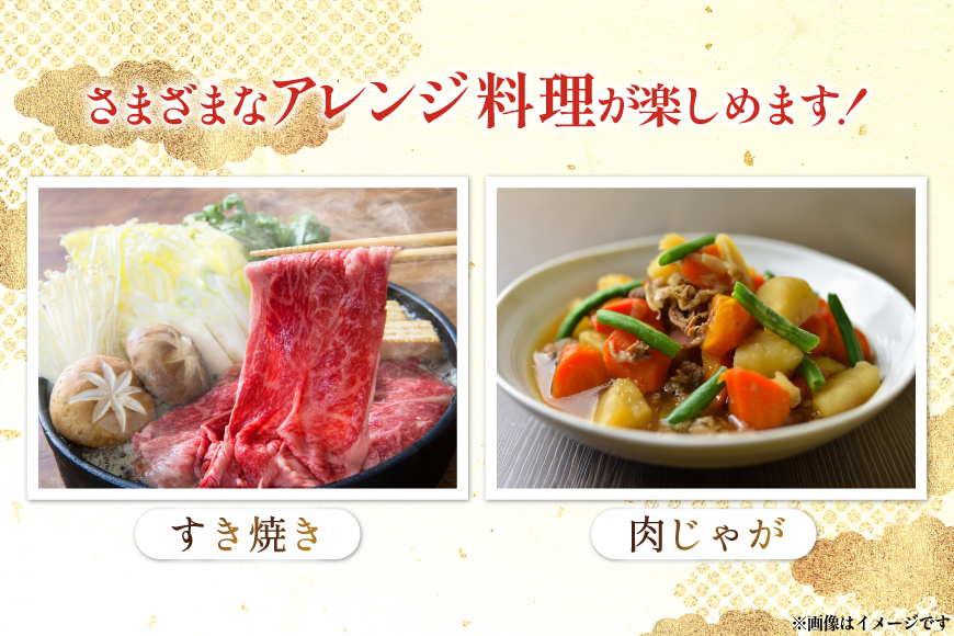 牛肉 宮崎県産 黒毛和牛 赤身 スライス 切り落とし 250g 6p 計1.5kg セット [TRINITY 宮崎県 日向市 452061320] すき焼き 冷凍 小分け 黒毛 霜降り 牛 和牛