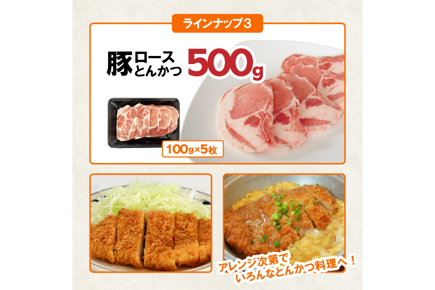 豚肉 宮崎県産豚肉 バラエティ セット 計4.5kg [南九フーズ 宮崎県 日向市 452061538] こま ミンチ 挽肉 ロース とんかつ しゃぶしゃぶ 生姜焼き 小分け