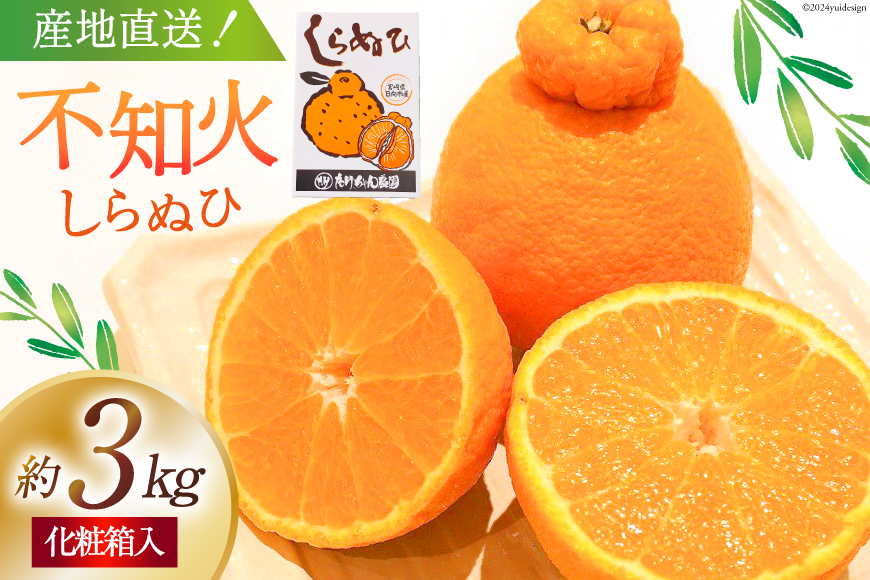 【期間限定発送】じゅわーっと甘い 不知火 約3kg（ハウス栽培・化粧箱入り） [たけちゃん農園 宮崎県 日向市 452060822] 果物 フルーツ 柑橘類