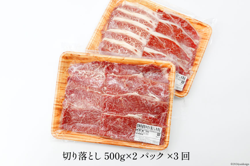 日本ハム 牛肉 3回 定期便 宮崎県 和牛 切り落とし 500g ×2p 計 1kg [日本ハムマーケティング 宮崎県 日向市 452061041] すき焼き しゃぶしゃぶ 赤身 小分け 冷凍 訳ありあ