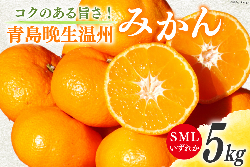 みかん 5kg【期間限定発送】コクのある甘さ うまぁ〜い！！青島晩生温州みかん S・M・L いずれか [黒田農園 宮崎県 日向市 452060137] 果物 フルーツ ミカン 蜜柑 柑橘