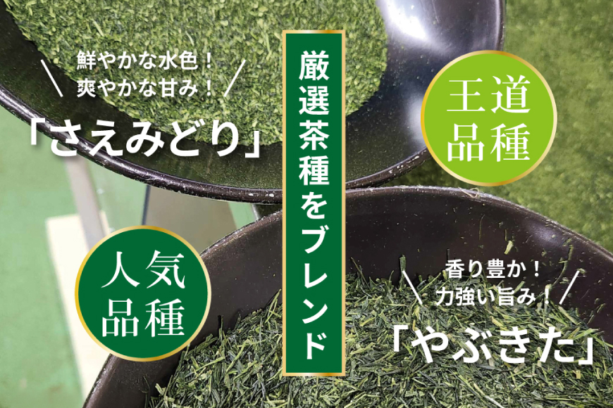 お茶 ティーバッグ 特撰 みやざき煎茶 3袋 セット [谷岩茶舗 宮崎県 日向市 452061734] ティーパック 茶 茶葉 緑茶 新茶 お茶の葉