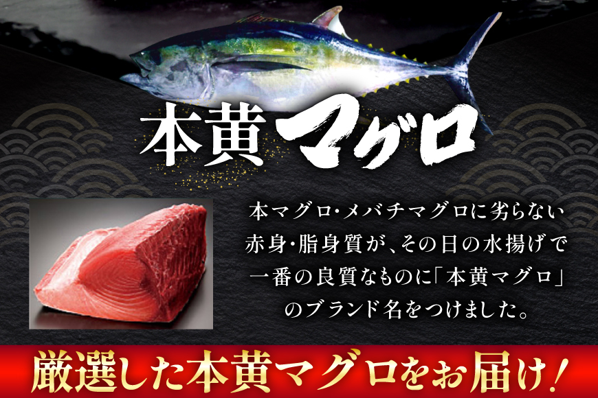 【期間限定発送】 マグロ 刺身 宮崎県産 天然 キハダマグロ 約500g [ミツイ水産 宮崎県 日向市 452061258] まぐろ 鮪 ブロック