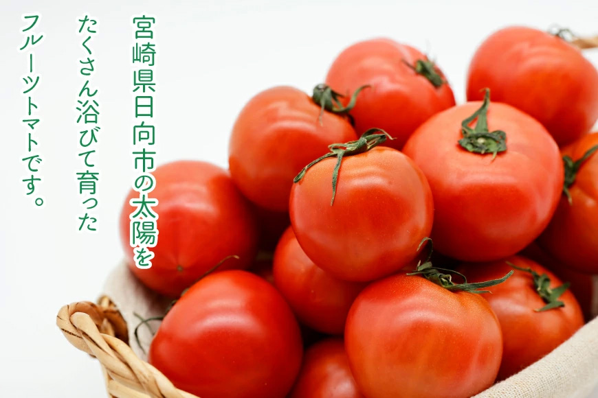 【期間限定発送】 訳あり トマト SUNすいーと 1kg×2箱 [にいな農園 宮崎県 日向市 452060917] 野菜 フルーツトマト 高糖度 甘い 不揃い 家庭用