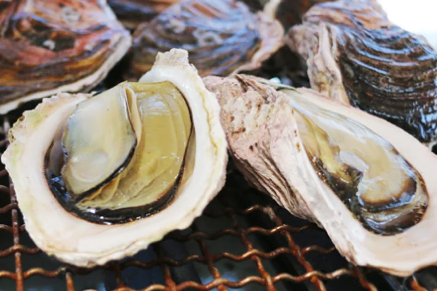 【期間限定発送】岩牡蠣 殻付き 細島 岩ガキ 約2kg 日向特産 へべす 200g セット [道の駅日向 宮崎県 日向市 452061389] いわがき 岩がき 牡蠣 日豊海岸 濃厚 クリーミー
