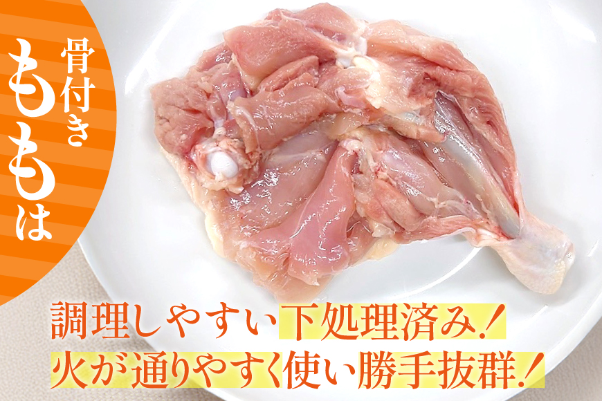 鶏肉 業務用 宮崎県産 若鶏 骨付きもも 250g 10本 セット [TRINITY 宮崎県 日向市 452061341] 小分け 冷凍 骨付きもも肉 詰め合わせ