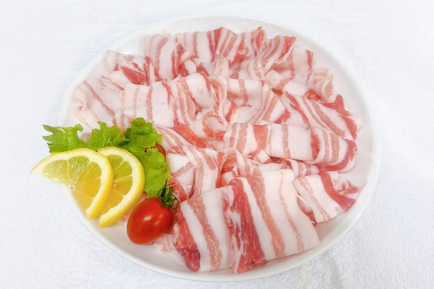 豚肉 宮崎県産豚肉 3.2kg 詰め合わせ セット [TRINITY 宮崎県 日向市 452061328] 小分け 豚 肉 宮崎 ロース スライス 豚バラ とんかつ 切り落とし ミンチ 豚ミンチ ひき肉 真空パック