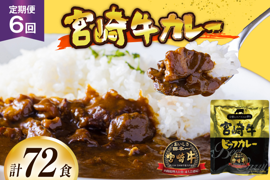 カレー 6回 定期便 レトルト 宮崎牛カレー 160g 12袋 総計72袋 [九州産商 宮崎県 日向市 452061183] 小分け ビーフカレー 宮崎 牛 常備食 保存食 中辛 宮崎牛 備蓄