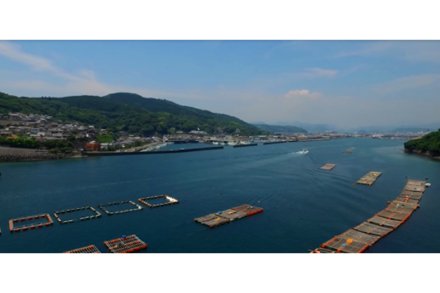 【期間限定発送】岩牡蠣 殻付き 細島 岩ガキ 約4.5kg [道の駅日向 宮崎県 日向市 452060571] いわがき 岩がき 牡蠣 日豊海岸 濃厚 クリーミー