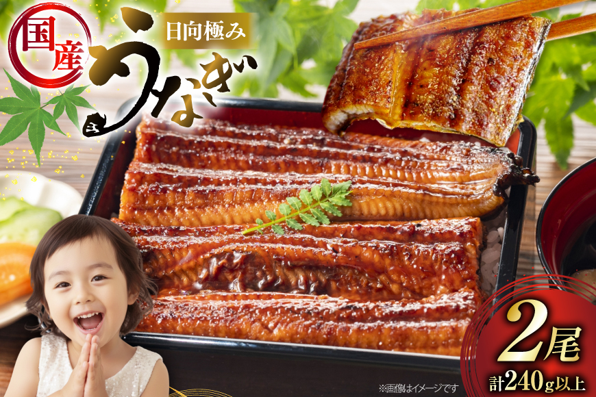 うなぎ 国産 日向極み うなぎ蒲焼 2尾 計240g以上 【たれ・山椒付き】 [日向サンパーク 宮崎県 日向市 452061502] ギフト 小分け 真空パック 鰻 ウナギ うなぎの蒲焼 蒲焼 蒲焼き