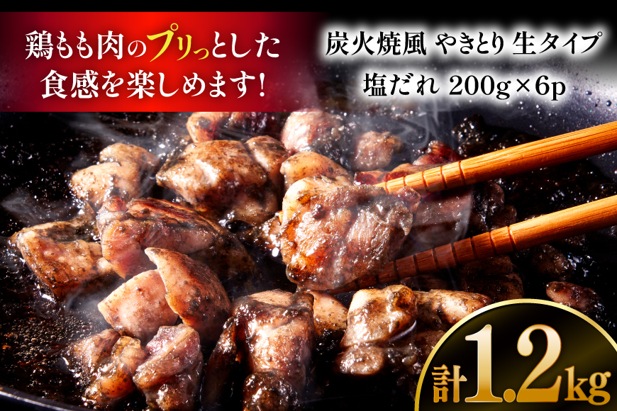 【新登場】 炭火焼鳥 炭火焼風やきとり 生タイプ 塩だれ 200g×6P [日本ハムマーケティング 宮崎県 日向市 452061572] 鶏もも 鶏 宮崎 おつまみ 酒のアテ 炭火焼 炭火焼き やきとり