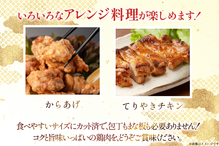 鶏肉 もも 宮崎県産 若鶏 もも切身 300g 10p 計 3kg セット [TRINITY 宮崎県 日向市 452061351] もも肉 小分け 鶏肉もも 宮崎 真空パック モモ モモ肉 冷凍 肉