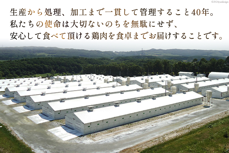 桜姫(R)の唐揚げ 1.5kg [道の駅「日向」物産館 宮崎県 日向市 452060798] 国産 からあげ レンジ 調理 温めるだけ 冷凍
