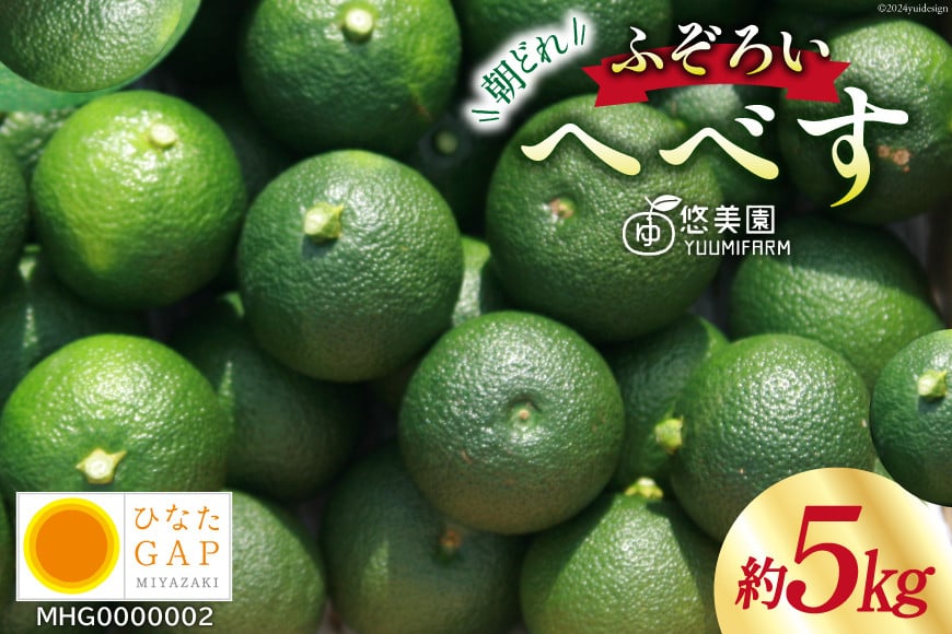 【期間限定発送】 へべす ひなたGAP認定 ふぞろい 5kg [へべすの悠美園 宮崎県 日向市 452060724] ヘベス 宮崎 果物 フルーツ くだもの 柑橘 ポン酢 調味料 果汁