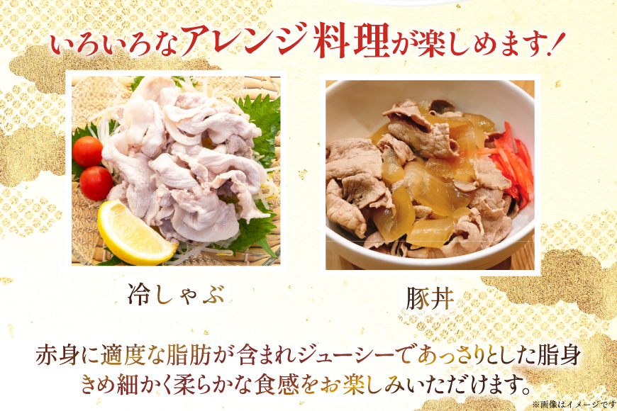 豚肉 宮崎県産 豚バラ しゃぶしゃぶ用 300g 4p 計 1.2kg セット [TRINITY 宮崎県 日向市 452061331] 冷凍 小分け しゃぶしゃぶ スライス 豚バラ肉 宮崎 豚バラ薄切り 薄切り