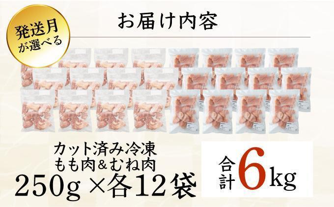 KU230-MO6-2603＜2026年3月発送・数量限定＞ 小分け＆バラバラ！選べる！宮崎県産鶏もも・むねカット 合計6kg(計250g×24袋)
