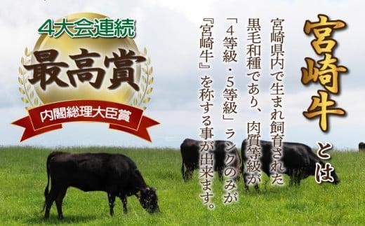 KU480＜2026年3月発送分＞宮崎県産 宮崎牛バラ焼肉用 250g×4パック 合計1kg