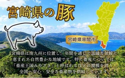 KU482-2603＜2026年3月発送分＞宮崎県産 豚肉詰め合わせセット 合計4kg