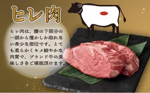 SKFILïŒ2026幎2æçºéåïŒå®®åŽçãã¬ã¹ããŒãïŒç空ããã¯ïŒ