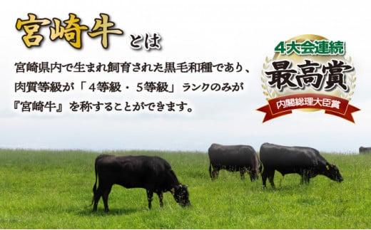 SKMMB＜2026年1月発送分＞宮崎牛モモブロック（真空パック）