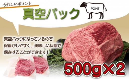 SKMMB＜2026年1月発送分＞宮崎牛モモブロック（真空パック）