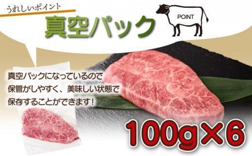 SKMSG＜2026年3月発送分＞宮崎牛ミスジステーキ（真空パック）