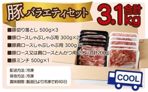 KU405-2-2603＜2026年3月発送分＞宮崎県産豚バラエティー3.1kgセット