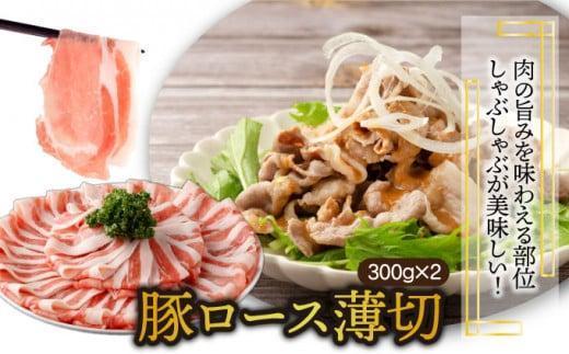 KU405-2-2603＜2026年3月発送分＞宮崎県産豚バラエティー3.1kgセット