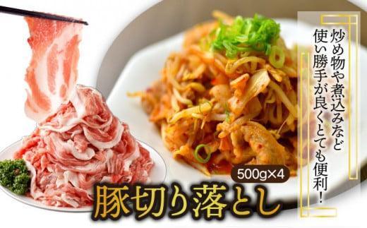 KU405-2-2603＜2026年3月発送分＞宮崎県産豚バラエティー3.1kgセット