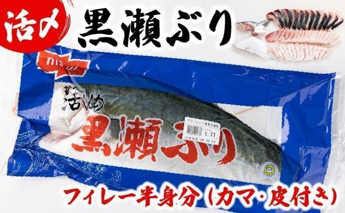 KRBF15 活じめ！黒瀬ぶりの生鮮ブリフィレー 1.5kg前後 (2026年2月発送)