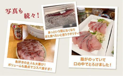 KU281＜2026年3月発送分＞活じめ！黒瀬ぶりの生鮮ブリロイン2節（1.0kg前後）