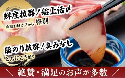 KU281＜2026年3月発送分＞活じめ！黒瀬ぶりの生鮮ブリロイン2節（1.0kg前後）