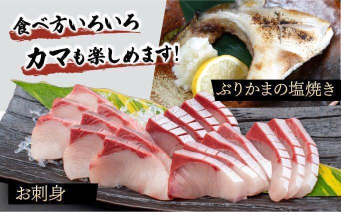 KRBF15 豢サ縺倥aシ鮟堤ャ縺カ繧翫ョ逕滄ョョ繝悶Μ繝輔ぅ繝ャ繝シ 1.5kg蜑榊セ (2026蟷エ4譛育匱騾)