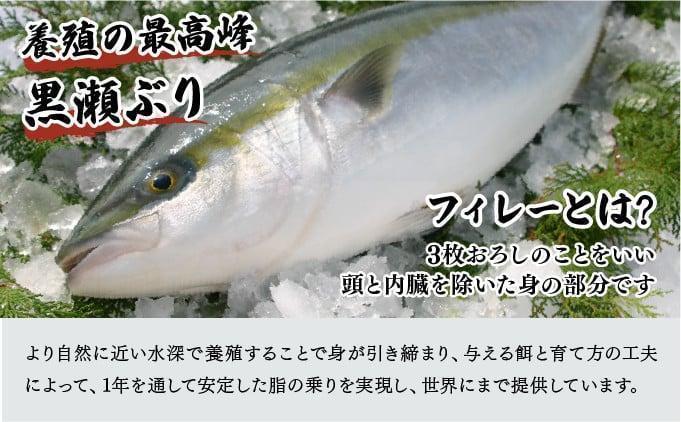 KRBF15 豢サ縺倥aシ鮟堤ャ縺カ繧翫ョ逕滄ョョ繝悶Μ繝輔ぅ繝ャ繝シ 1.5kg蜑榊セ (2026蟷エ4譛育匱騾)