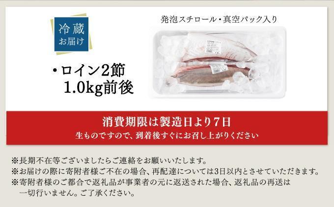 KU281ïŒ2026幎4æçºéåïŒæŽ»ããïŒé»ç¬ã¶ãã®çé®®ããªãã€ã³2ç¯ïŒ1.0kgååŸïŒ