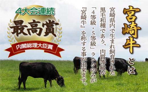 《2026年5月発送》宮崎牛ロースステーキ 200g×2枚 合計400g